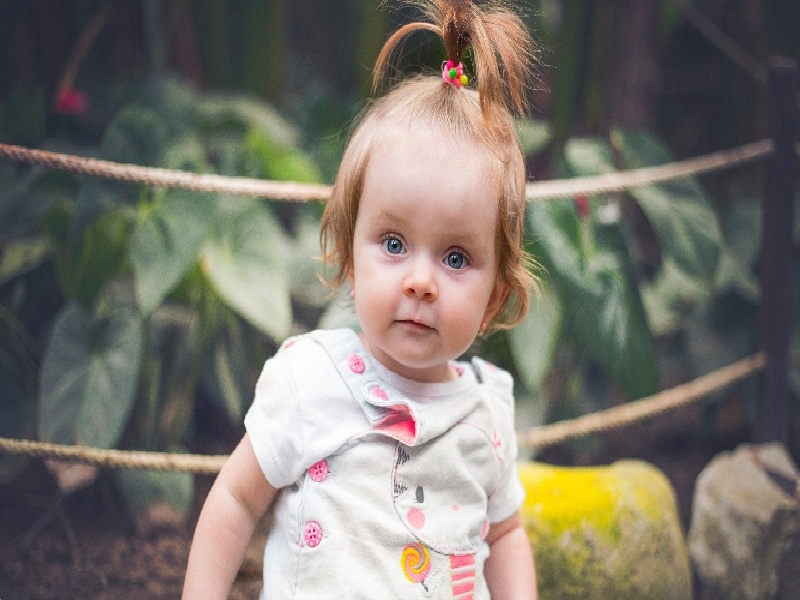 剖宫产多久开始试管(试管 促排卵2.4)